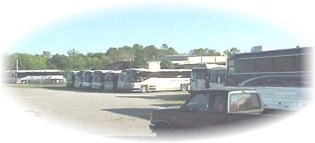 0209bus6.JPG (33500 bytes)
